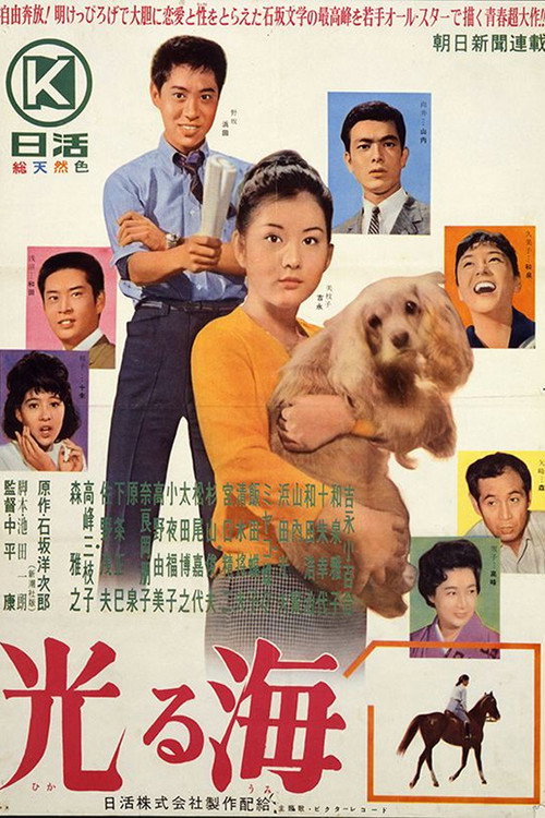Póster de 光る海