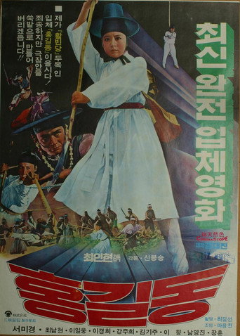 Póster de 홍길동