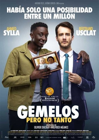 Póster de Jumeaux mais pas trop