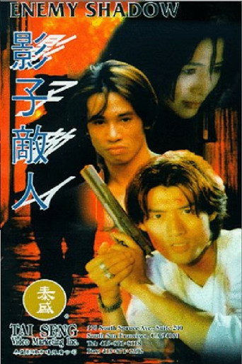 Póster de Enemy Shadow
