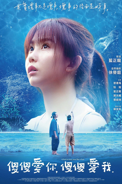 Póster de 傻傻愛你，傻傻愛我