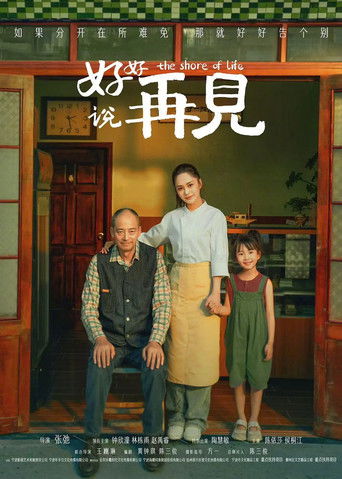 Póster de 好好说再见