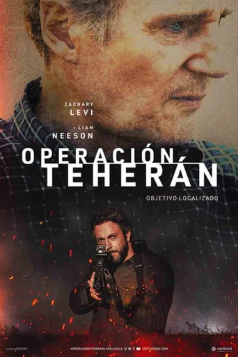 Póster de The Fix