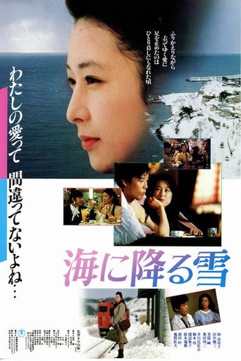 Póster de 海に降る雪