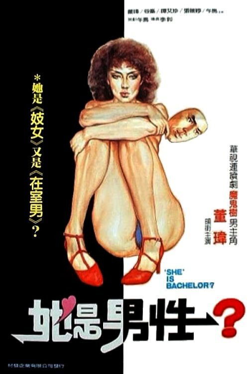 Póster de 失声画眉