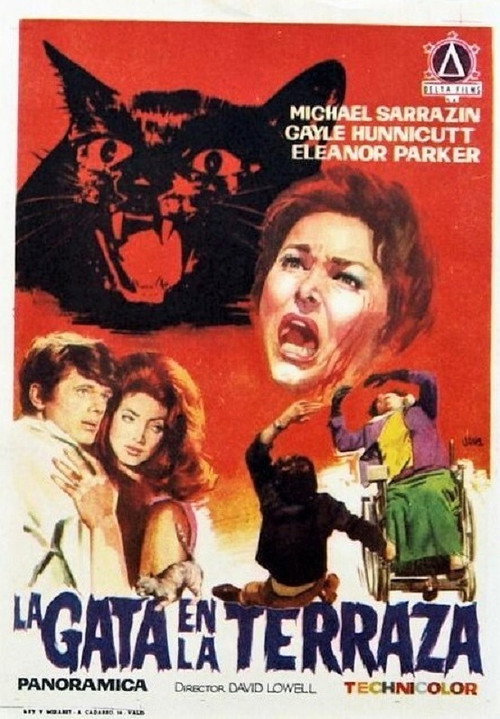 Póster de Eye of the Cat