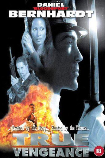 Póster de True Vengeance