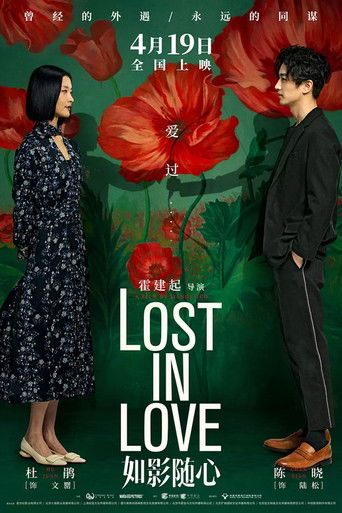 Póster de 如影随心