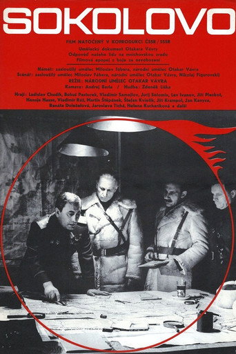Póster de Sokolovo