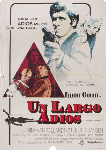 Póster de Un largo Adios