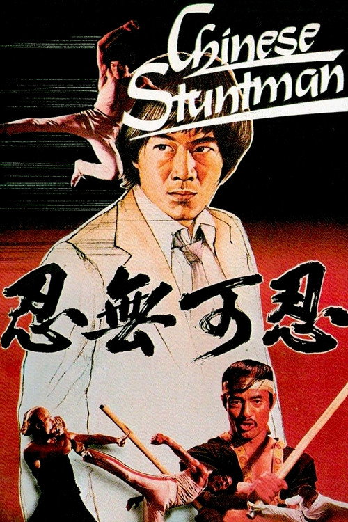 Póster de 龍的影子
