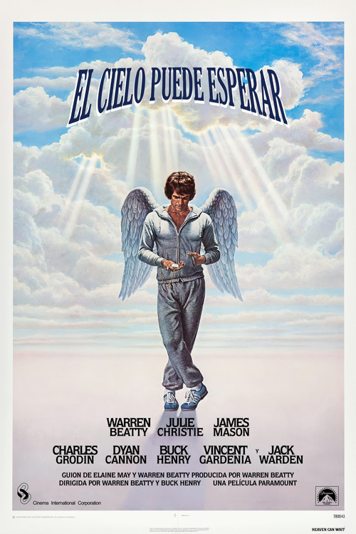Póster de El Cielo Puede Esperar