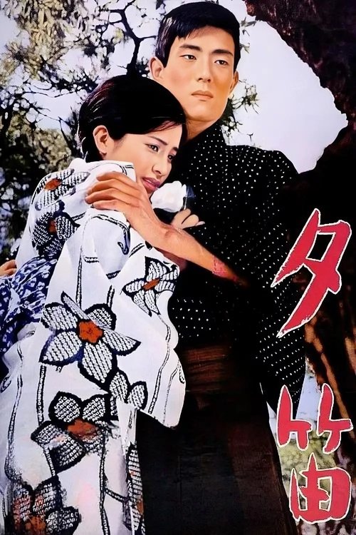 Póster de Lost Love