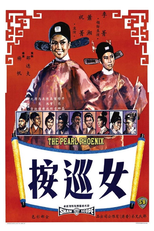 Póster de 女巡按