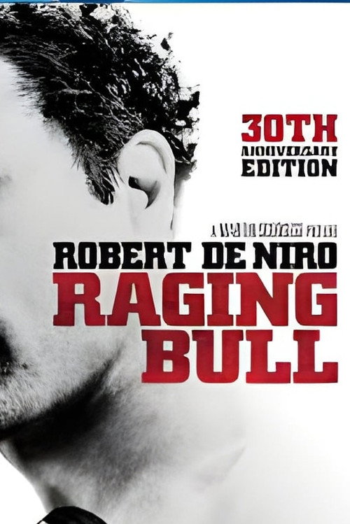 Póster de Raging Bull: Reflections on a Classic