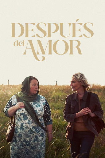 Póster de After Love