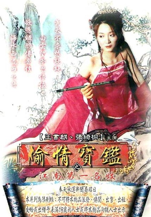Póster de 偷情宝鉴之江南第一名妓