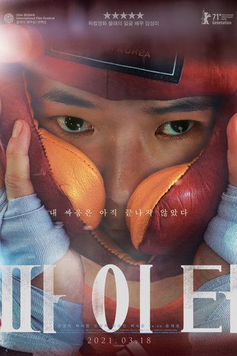 Póster de Fighter