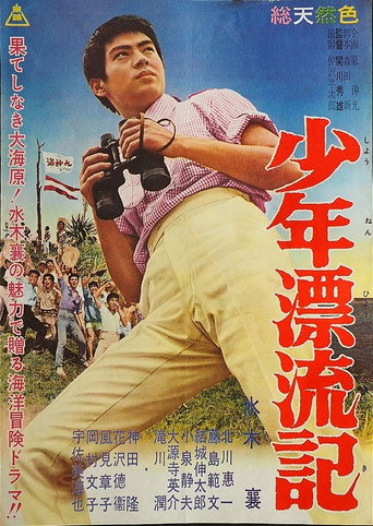 Póster de 少年漂流記