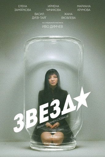 Póster de Zvezda