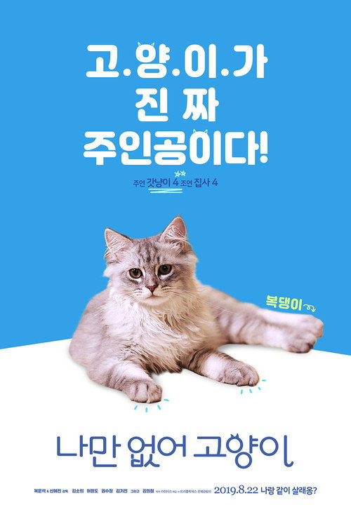 Póster de 나만 없어 고양이