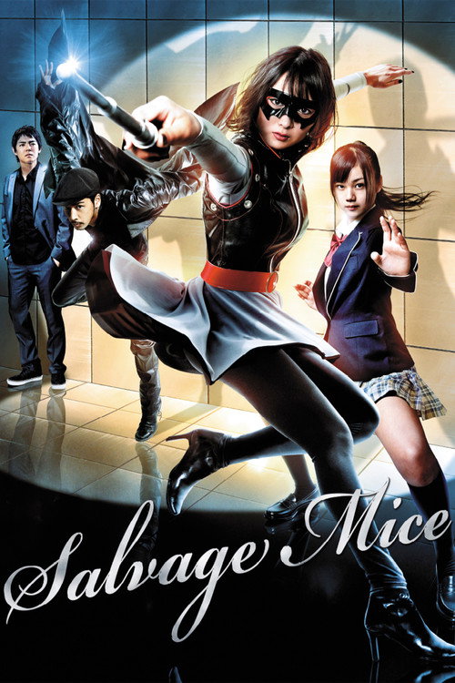 Póster de サルベージ・マイス