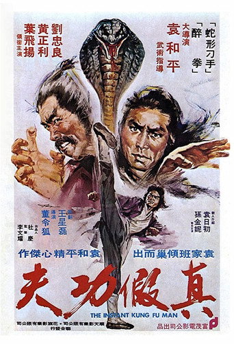 Póster de Zhen jia gong fu