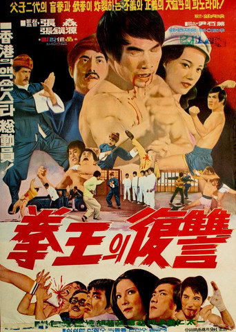 Póster de 盲拳