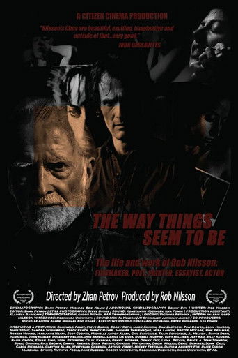 Póster de The Way Things Seem to Be