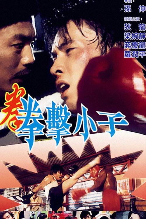 Póster de 拳击小子