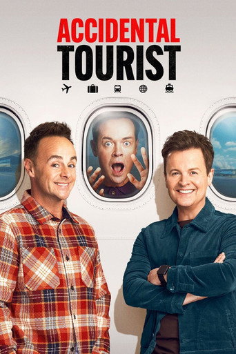 Póster de Accidental Tourist