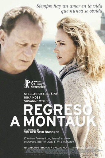 Póster de Rückkehr nach Montauk