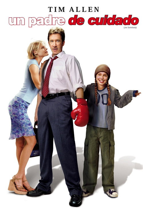 Póster de Joe Somebody