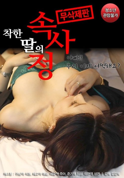 Póster de 착한 딸의 속사정