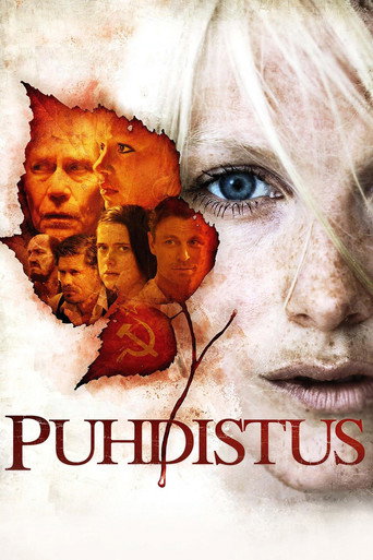 Póster de Puhdistus