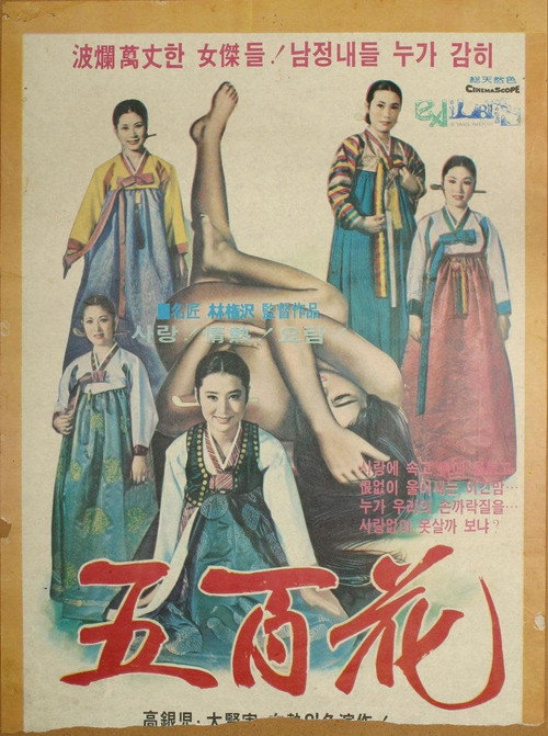 Póster de 장안명기 오백화