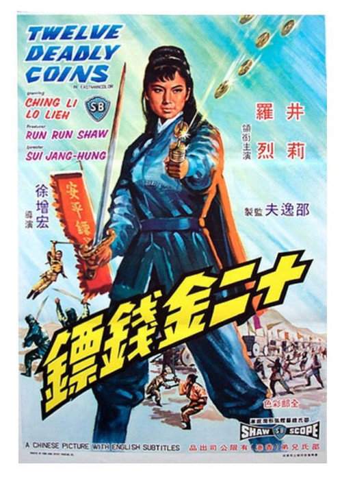 Póster de 十二金錢鏢