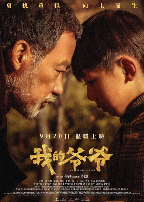 Póster de 我的爷爷