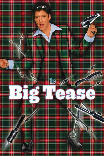 Póster de The Big Tease