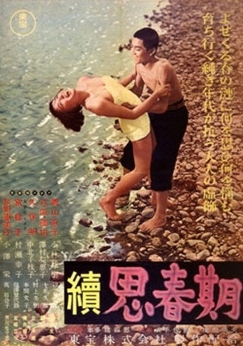 Póster de 続思春期