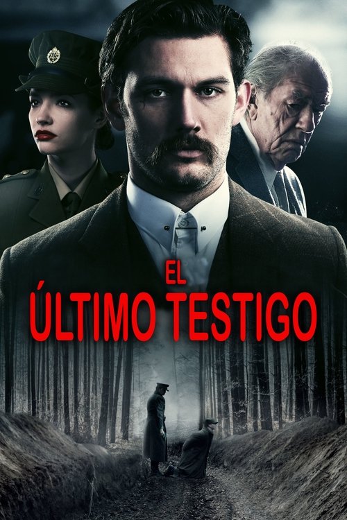 Póster de El último testigo