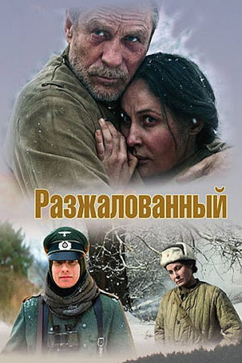 Póster de Разжалованный