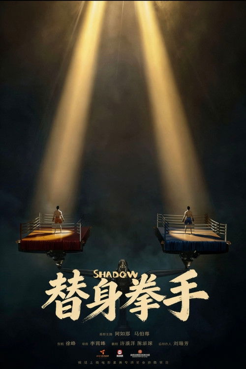 Póster de 替身拳手