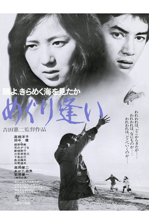 Póster de 鴎よ、きらめく海を見たか　めぐり逢い
