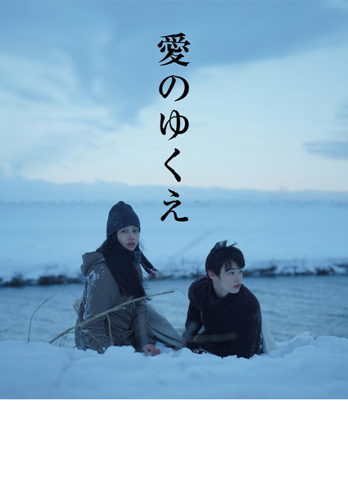 Póster de 愛のゆくえ