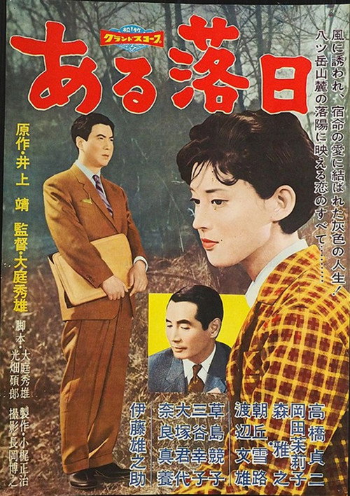 Póster de ある落日