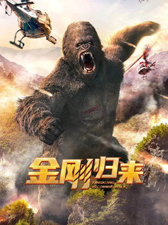 Póster de 金刚归来