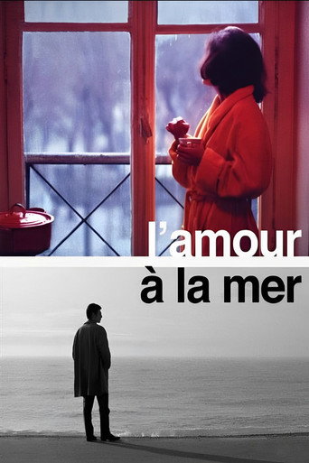 Póster de L'Amour à la mer