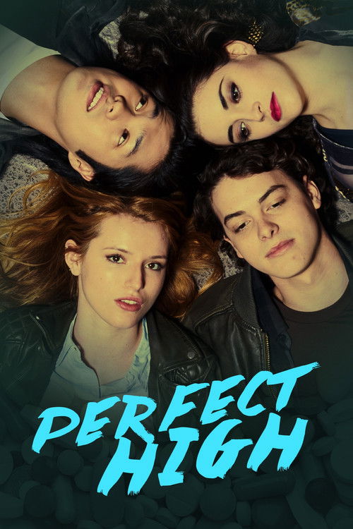 Póster de Perfect High