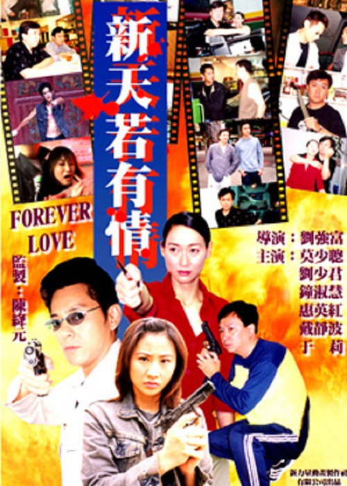 Póster de 新天若有情